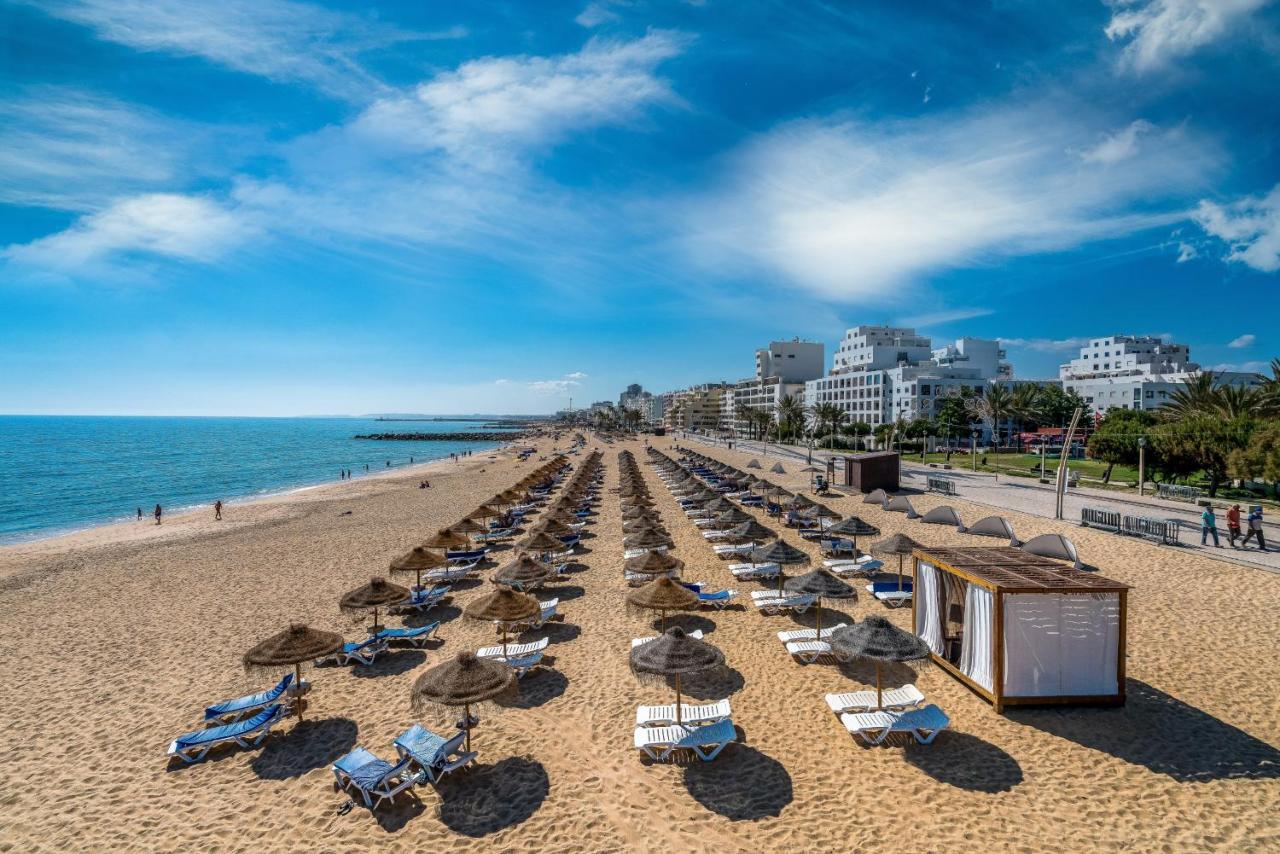 Bmyguest - Cavalo Preto Loule