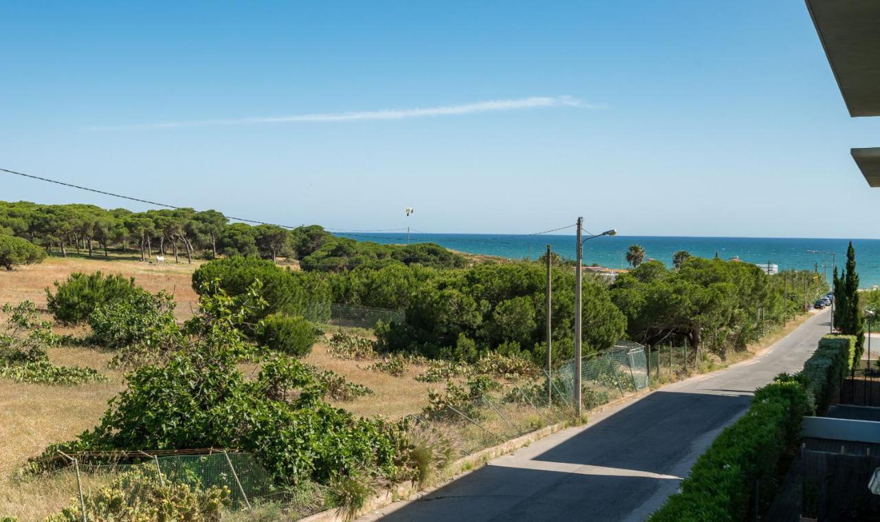 Bmyguest - Cavalo Preto * Loule