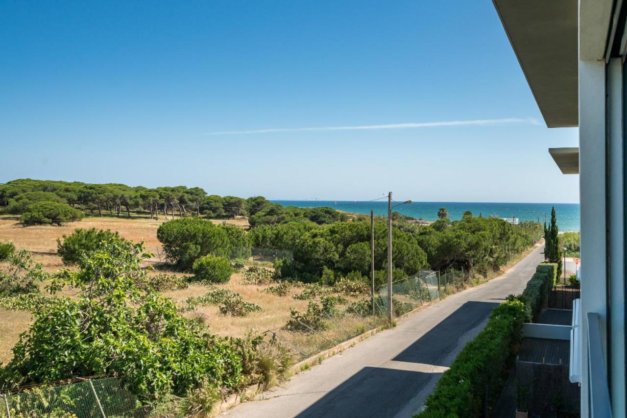 Bmyguest - Cavalo Preto Loule