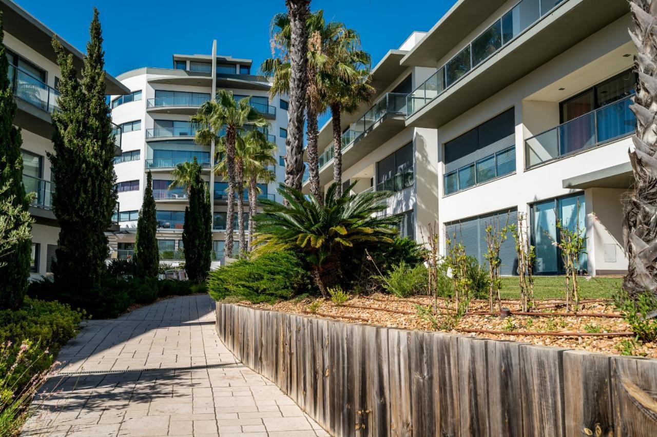 Bmyguest - Cavalo Preto * Loule